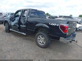 Ford F-150 Xlt 1FTFX1EF4DKG53563 снимка