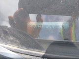 JEEP CHEROKEE LATITUDE 1C4PJLCSXFW616529 снимка