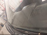 Honda Element Ex 5J6YH28543L017551 снимка