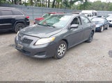 Toyota Corolla Le 2T1BU4EE8AC328038 снимка