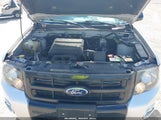 FORD ESCAPE XLT 1FMCU0DG8AKB62288 снимка