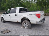 FORD F-150 XLT 1FTFW1EF3EFC43480 снимка