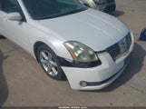 NISSAN MAXIMA 3.5 SE 1N4BA41E94C926009 снимка