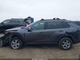 Toyota Rav4 Xle 2T3W1RFV2SC311931 снимка