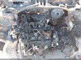 Hyundai Palisade Sel KM8R44GE6PU641513 fotografie