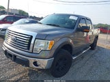 Ford F-150 Fx4/Harley-Davidson/King Ranch/Lariat/Platinum/Xl/Xlt 1FTFW1EV9AFD60515 fotografie