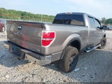 Ford F-150 Fx4/Harley-Davidson/King Ranch/Lariat/Platinum/Xl/Xlt 1FTFW1EV9AFD60515 fotografie