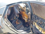 HONDA CIVIC LX 2HGFC2F62KH501352 снимка