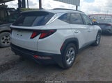 HYUNDAI TUCSON SEL 5NMJB3DE4RH352646 снимка