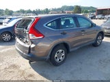 Honda Cr-V Lx 2HKRM4H36EH672656 снимка