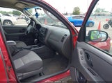 Ford Escape Xls/Xls Manual 1FMYU02Z27KB07953 fotografie