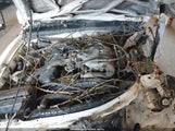 Toyota 4Runner Sr5 V6 JT3HN86R5W0133522 photo