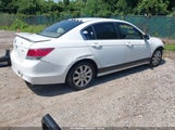HONDA ACCORD 2.4 LX 1HGCP2F3XAA175858 снимка