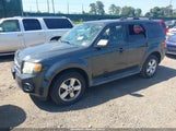 Ford Escape Xlt 1FMCU03789KC31316 снимка