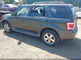 Ford Escape Xlt 1FMCU03789KC31316 снимка