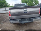 Ford F-150 Xlt 1FTFX1CT2EFC69669 снимка