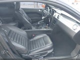 Ford Mustang Gt Deluxe/Gt Premium 1ZVHT82H885133743 fotografie
