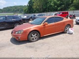 PONTIAC GRAND PRIX GT1 2G2WP522X41135700 photo