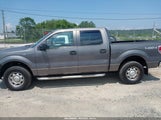 FORD F-150 XL/XLT 1FTEW1E87AFD69672 снимка