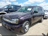 CHEVROLET TRAILBLAZER FLEET 1GNDS13S082227856 снимка