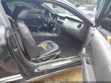 Ford Mustang V6/V6 Premium 1ZVBP8AN3A5145127 photo