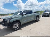TOYOTA TUNDRA HYBRID 1794 EDITION 4WD 5TFMC5DB3SX089445 снимка