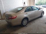 TOYOTA CAMRY XLE V6 4T1BK46K39U086442 снимка