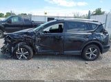 Toyota Rav4 Xle 2T3RFREV5JW768326 снимка