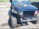 Jeep Wrangler Rubicon 1J4FA69S53P324341 fotografie