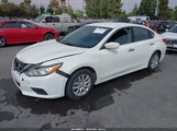 NISSAN ALTIMA 2.5/2.5 S/2.5 SL/2.5 SR/2.5 SV 1N4AL3AP1GC249009 photo