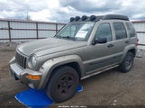 JEEP LIBERTY RENEGADE 1J4GL38KX4W157982 снимка
