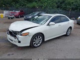 Acura Tsx JH4CL96936C010932 снимка