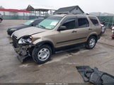 HONDA CR-V LX JHLRD68536C000020 снимка