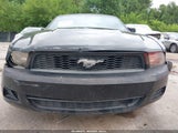 Ford Mustang V6/V6 Premium 1ZVBP8EN2A5106135 photo