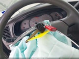 Toyota Sequoia Sr5 V8 5TDZT34A03S178950 снимка