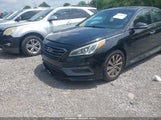 HYUNDAI SONATA SPORT 5NPE34AFXFH182504 photo