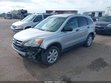 Honda Cr-V Se 5J6RE4H49BL049152 снимка