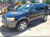 Ford Escape Xlt 1FMYU03185KB77110 снимка