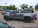 GMC Canyon 4Wd Elevation Standard 1GTH6BENXN1119306 снимка
