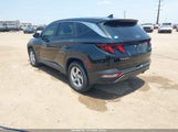 Hyundai Tucson Se 5NMJA3DE8RH411703 снимка