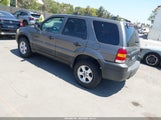 Ford Escape Xlt 1FMYU03165KB25314 снимка