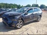 TOYOTA RAV4 XLE 2T3W1RFV6NC194245 снимка