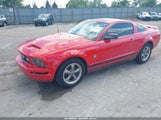 FORD MUSTANG V6 1ZVFT80N665191086 снимка