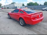 FORD MUSTANG V6 1ZVFT80N665191086 снимка
