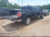 Ford F-150 Fx4/Harley-Davidson/King Ranch/Lariat/Platinum/Xl/Xlt 1FTFW1EV4AFA55178 снимка