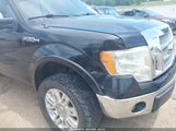Ford F-150 Fx4/Harley-Davidson/King Ranch/Lariat/Platinum/Xl/Xlt 1FTFW1EV4AFA55178 снимка
