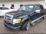 Ford F-150 Xlt 1FTEW1CM4DFB64962 снимка