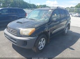 Toyota Rav4 JTEGH20V330106747 fotografie