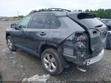 Toyota Rav4 Hybrid Xle Premium 4T3B6RFV4MU024446 снимка