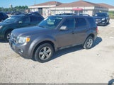 FORD ESCAPE LIMITED 1FMCU0EG6AKC82864 снимка